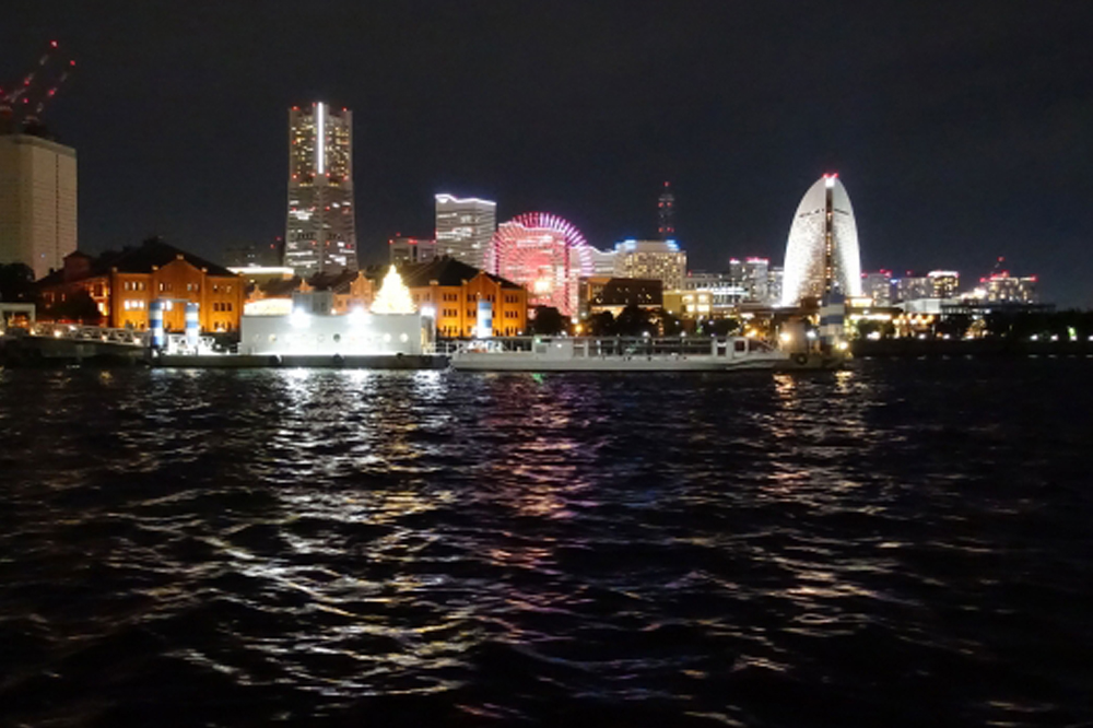 Tokyo Bay Circular Cruise